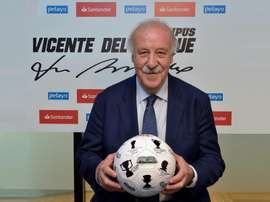 Vicente del Bosque habló del nuevo seleccionador nacional. EFE
