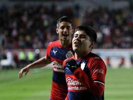 Un Chivas renovado para el Clausura 2020. Twitter/Chivas