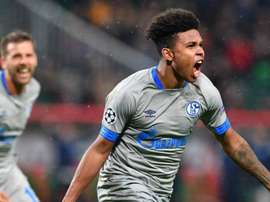 Weston McKennie podría abandonar la Bundesliga. AFP/Archivo