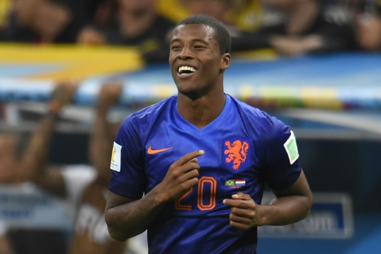wijnaldum netherlands jersey