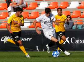 La pasada campaña no fue positiva para el Valencia en la Youth League. ValenciaCF