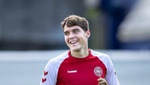 El Hoffehheim se hace con Skov