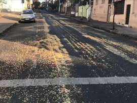 Milho na rua perto do Independência. Goal