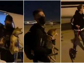 Vietto aterrizó acompañado de tres perros. Twitter/ITrklzx