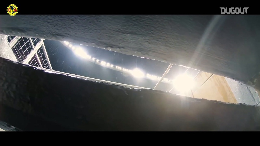 Así se vivió, desde dentro, el triunfo del Ame. Dugout
