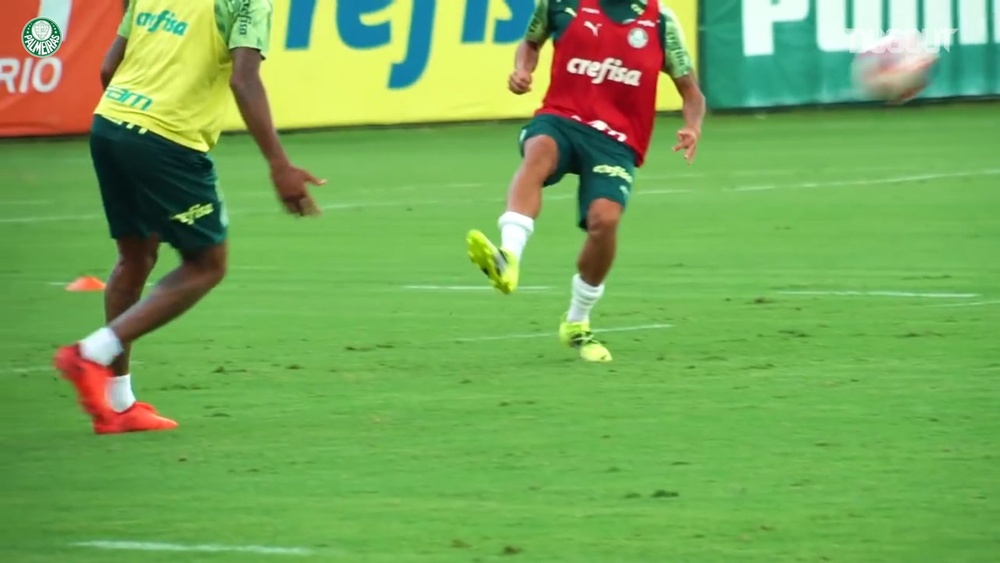 São Bento e Palmeiras se enfrentarão pela terceira rodada do Campeonato Paulista. DUGOUT