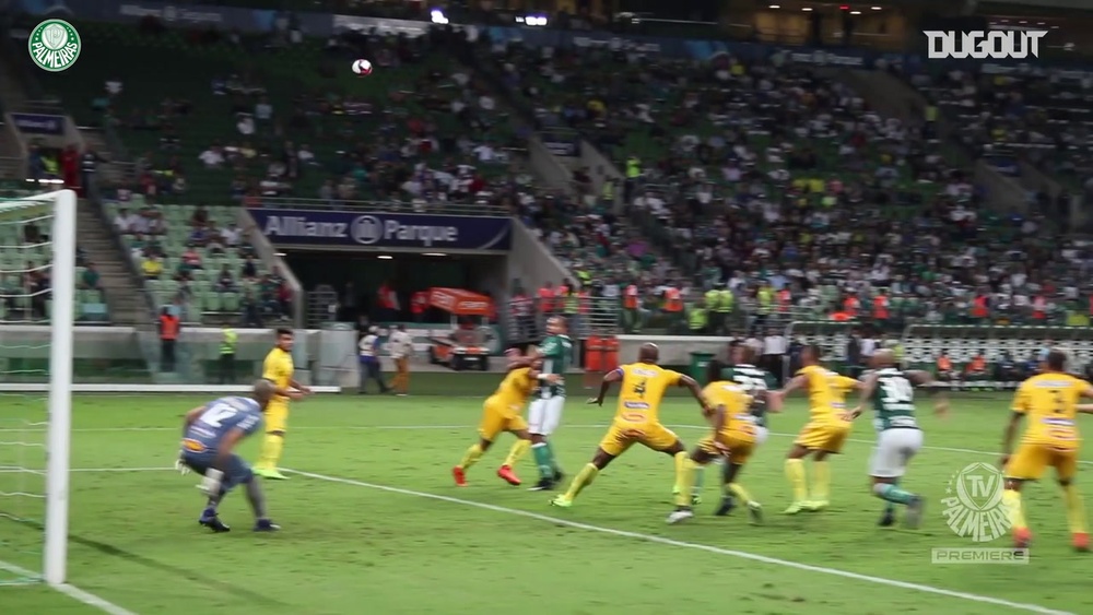 Il primo gol di Felipe Melo con il Palmeiras. Dugout