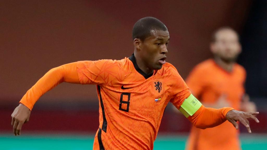wijnaldum netherlands jersey